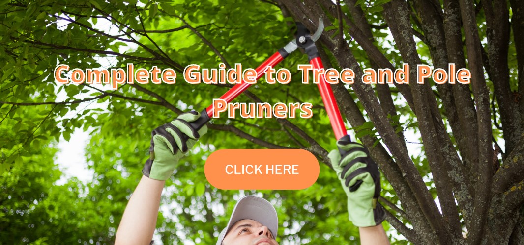 Complete Guide to Tree and Pole Pruners