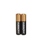 Duracell - AAA Batteries (2-Pack)