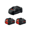 Bosch 18V Starter Kit w/CORE18V 6 Ah Batteries & 18V Fast Charger | GXS18V-20N26